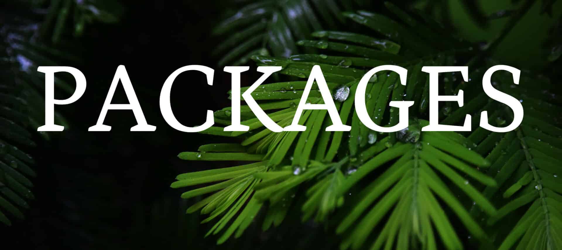 Green palm frond on black background with text PACKAGES.